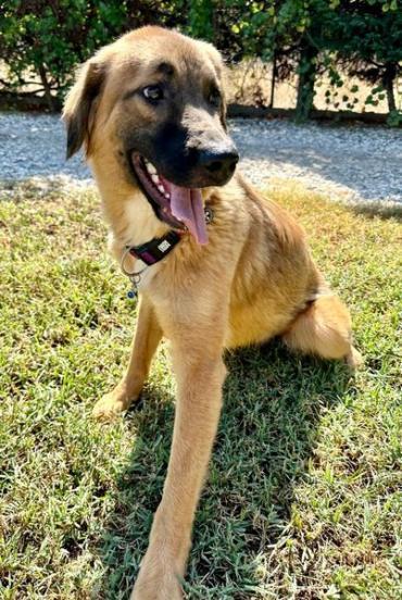 Benutzerbild von Ariel