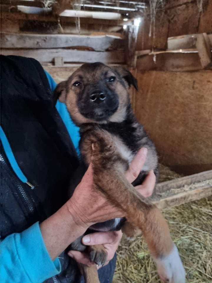 Benutzerbild von 🍀RAYA🍀- bildschönes Mädel