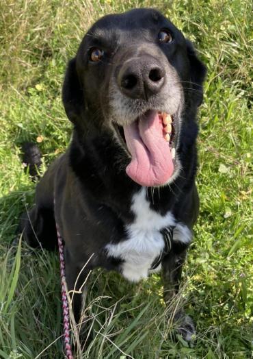 Benutzerbild von Unser freundlicher Rudolf (Rudi)