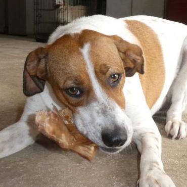 Benutzerbild von Abenteuerlustige Lena