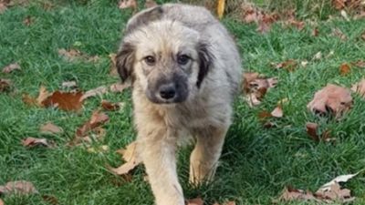 Benutzerbild von Betti