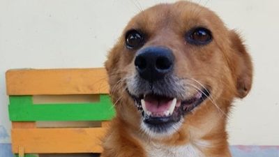 Benutzerbild von Cadou