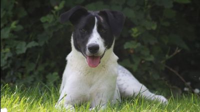 Benutzerbild von Sam - hofft auf seinen Seelenmenschen