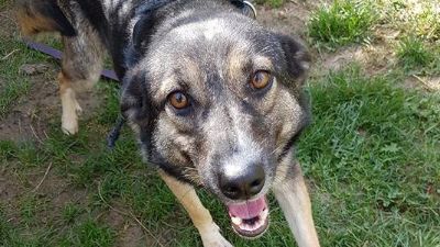 Benutzerbild von Nayeli