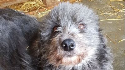 Benutzerbild von Walli