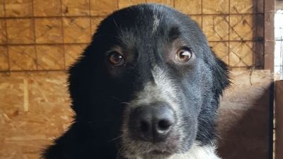 Benutzerbild von Nico