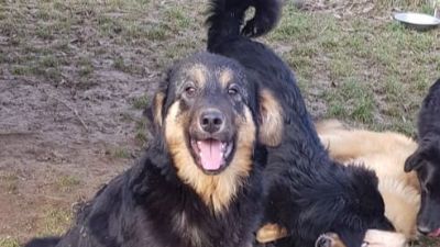 Benutzerbild von Lady