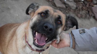 Benutzerbild von Nelli - aktiver Sonnenschein