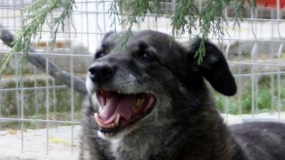 Benutzerbild von Fetita