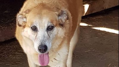 Benutzerbild von Gaga