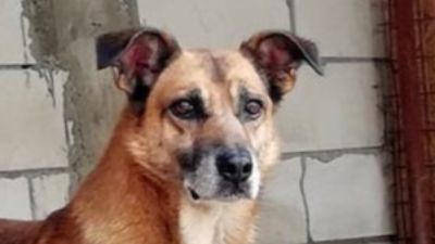 Benutzerbild von Gagu