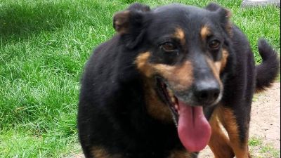 Benutzerbild von Goe