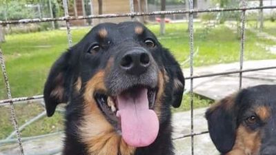 Benutzerbild von Cora - zurückhaltend aber freundlich