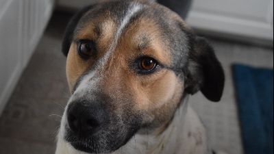 Benutzerbild von Gigi