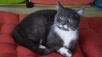 Benutzerbild von Danny