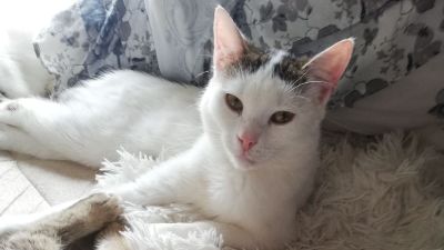 Benutzerbild von Lilly