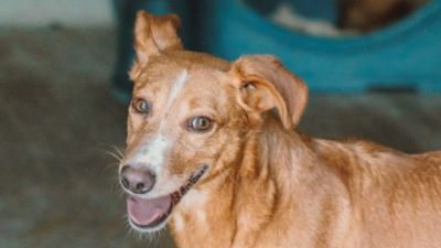 Benutzerbild von Fakir möchte keine Angst mehr haben