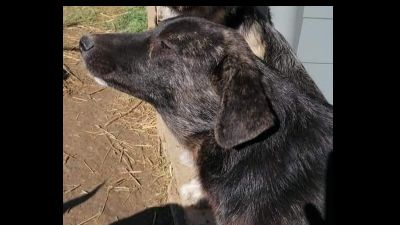 Benutzerbild von Willi - ein süßer Fratz