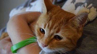 Benutzerbild von Minou