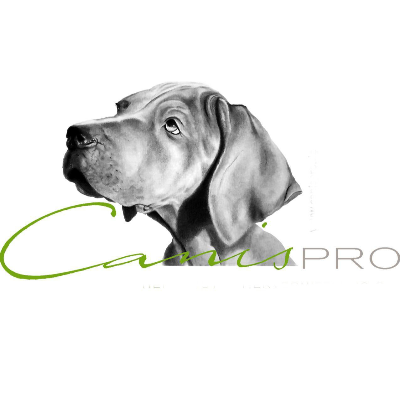 Logo von CanisPRO e.V. - Tierschutzinitiative