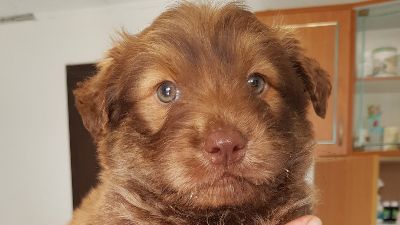 Benutzerbild von Robin