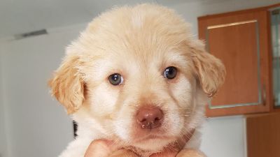 Benutzerbild von Lumi