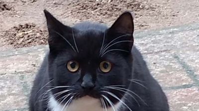 Benutzerbild von Luu und sucht einfühlsame Leute!