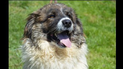 Benutzerbild von Bruce,