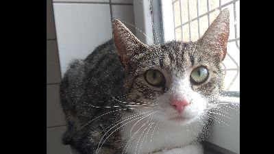 Benutzerbild von Luna