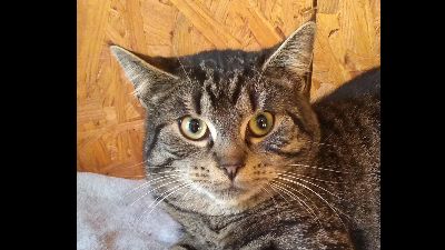 Benutzerbild von Felipha