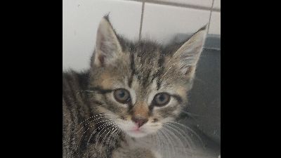 Benutzerbild von Tabby