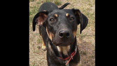 Benutzerbild von Souri