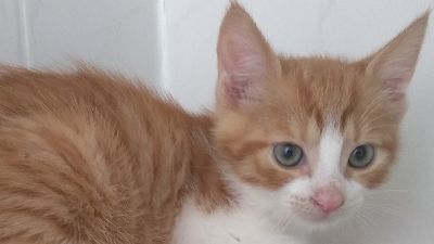 Benutzerbild von Whisky und Amaroula