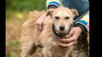 Benutzerbild von Die kleine Dessy möchte Dein Herz erobern!