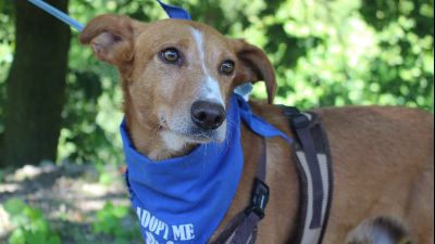 Benutzerbild von Frank