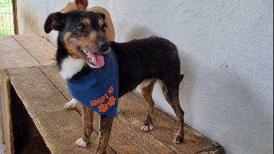 Benutzerbild von Tobias