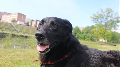 Benutzerbild von Boris
