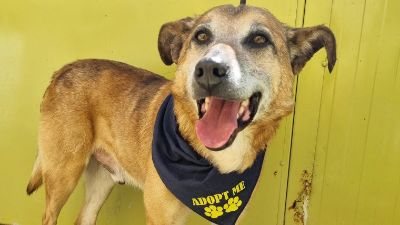 Benutzerbild von Buz