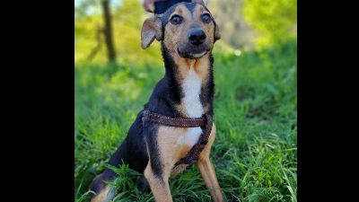 Benutzerbild von Balu startet durch