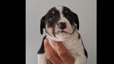 Benutzerbild von Zuckerschock Hanna