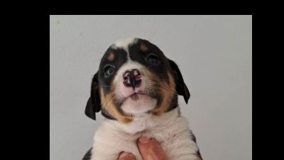 Benutzerbild von Zuckerschock Marla