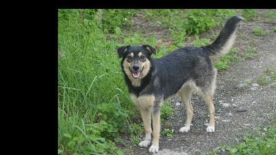 Benutzerbild von MYRA sehnt sich nach einer lieben Familie