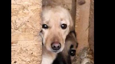 Benutzerbild von Jessy, ängstlich