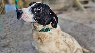 Benutzerbild von Henry, sucht sein Glück