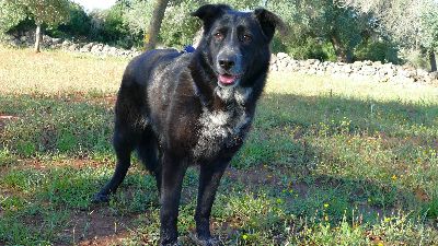 Benutzerbild von Layka sucht ihr ZUhause