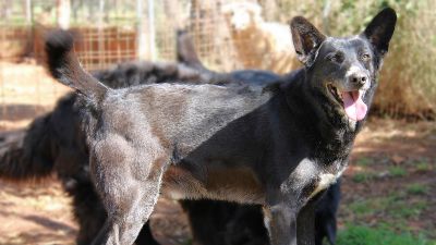 Benutzerbild von Lucio sucht endlich sein Glück