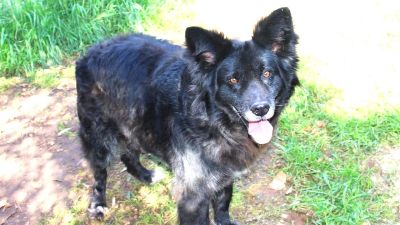 Benutzerbild von Paulino war sein Leben lang hinter Gitter