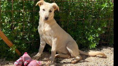 Benutzerbild von Tiana sucht ihre Menschen