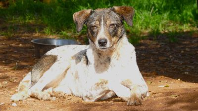 Benutzerbild von Tiziana sucht ihr Zuhause