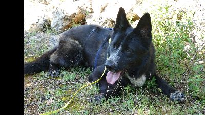 Benutzerbild von Kelly sucht ihr Zuhause